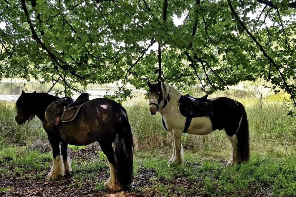 Les Vergers D'Epona "Fremifontaine Vosges" Exterior foto