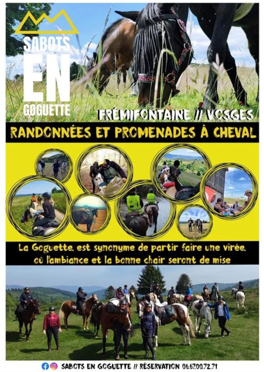 Les Vergers D'Epona "Fremifontaine Vosges" Exterior foto